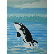 Orca Cut Outs