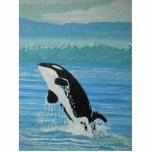 Orca Cut Outs