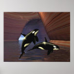Orca posters