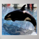 orca posters