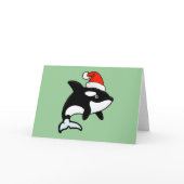 Orca Santa 