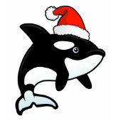 Orca Santa 