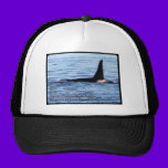 Orca;Southern Resident Killer Whale-L28 Orca hats