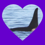 Orca;Southern Resident Killer Whale-L28 Orca stickers