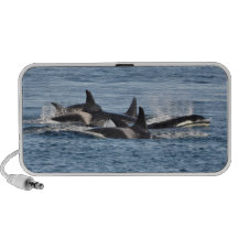 Orca Speaker