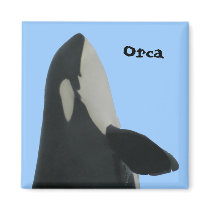 Orca Spyhop Magnet