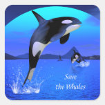 Orca Sticker