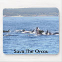 Orca Superpod Mousepad by savetheorcas Orca Superpod Mousepad