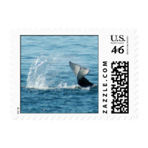 Orca Tail Slap Stamps