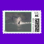 Orca Whale Breaths Out Mist in Whale Rich San Juan stamps