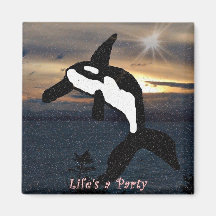 Orca Whale life is a party magnet