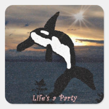 Orca whale life's a party square sticker