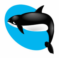 orca whale acrylic cut outs