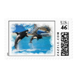 Orca Whale Postage