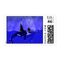 Orca Whale Postage Stamps stamps