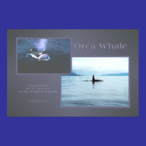 ORCA Whale Poster Print