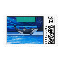 Orca Whale Showing Off Postage Stamp