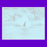Orca Whale Swimming Drawing Turquoise Lavender postcards
