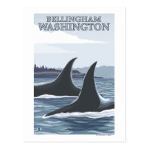 Orca Whales #1 - Bellingham, Washington Postcard