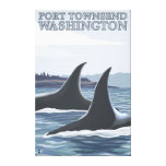 Orca Whales #1 - Port Townsend, Washington Canvas Print