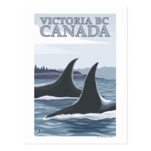 Orca Whales #1 - Victoria, BC Canada Post Card