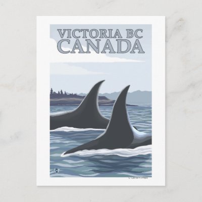 Orca Whales #1 - Victoria, BC Canada Post Card