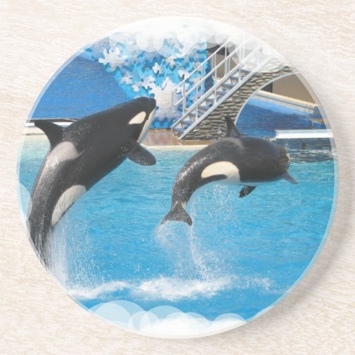 Orca Whales Coasters