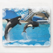 Orca Whales Mouse Pad