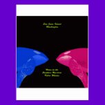 Orca Whales Nose to Nose postcards