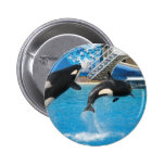 Orca Whales Pin
