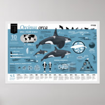 Orcagraphic poster - English edition