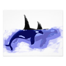 Orcas Killer Whales Custom Announcements
