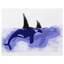 Orcas Killer Whales flyers