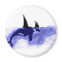 Orcas Killer Whales magnets