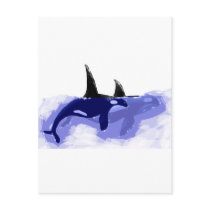 Orcas Killer Whales postcards