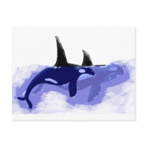 Orcas Killer Whales Post Cards