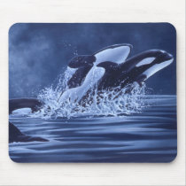 Orcas Mousepad