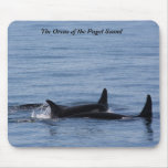 Orcas of the Puget Sound Mouse Pad