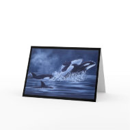 Orcas On The Run card