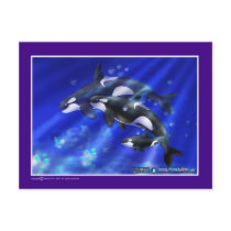 orcas postcards