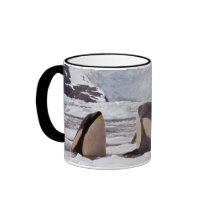Orcas Spyhopping Mug