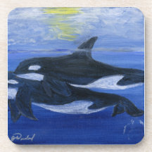 Orcas swimming coaster