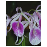 Orchard Flowers Custom Flyer