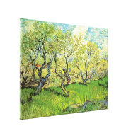 Orchard in Blossom, Vincent van Gogh Canvas Prints