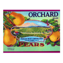 Orchard Pears Post Cards