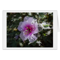 Orchard Vine Greeting Card