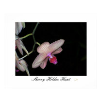 Orchid 009 Customized - Customized posters