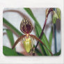 Orchid  593 mouse mats