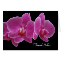 Orchid Administrative Professionals Day Card
