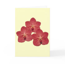 Orchid Angela Greeting Card cards